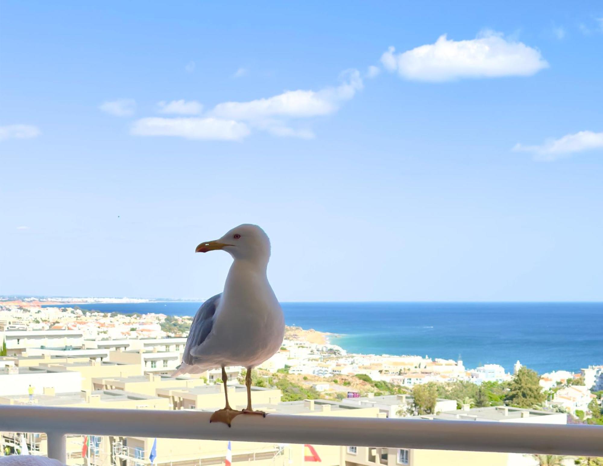 Apartment Les 3 Dauphins In Albufeira Luaran gambar